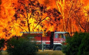 bushfires